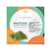Matcha en Polvo Solo Plantas 100Gr